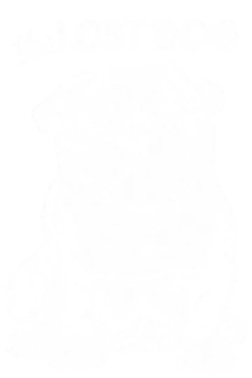 The Lost Dog